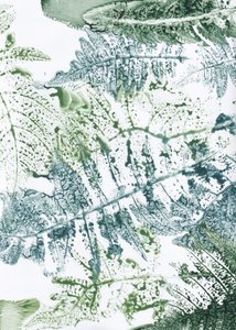 Botanické motivy kapradin od Maira Ribena