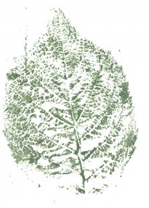 Botanický motiv s listy