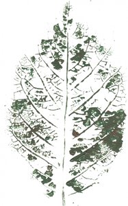 Botanický motiv s listy