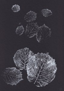 Botanické listové tisky