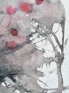 Anotace knihy „Crimson Branch“