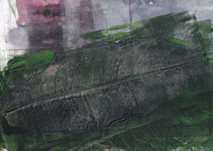Otisk tmavě zeleného listu od Maira Ribena
