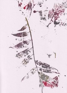 Dojmy z Dark Leaf od Maira Ribena