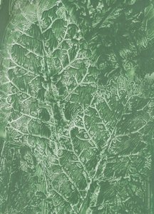 Textura tmavě zeleného listu od Maira Ribena