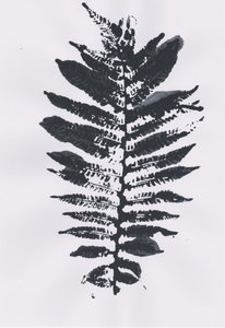 Elegantní Fern Leaf
