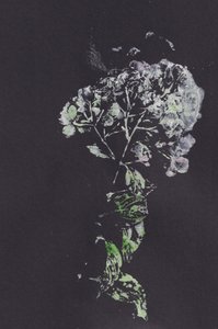 Moody Floral Impression od Maira Ribena