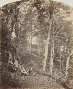 Cesta lesem, c. 1860. od Major Francis Gresley
