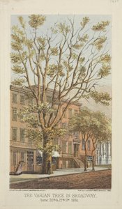 Varian Tree na Broadwayi, mezi 26. a 27. ulicí, 1864 od Major and Knapp