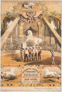 Nádherný a krásně vycvičený kůň Excelsior, kolem roku 1840 (chromolitho)