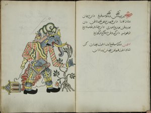 Kurkuma Java, MS 41 s. 20, obrázek 10, 1830