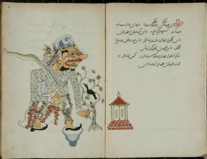 Kurkuma Java, MS 41 s. 2, obrázek 1, 1830