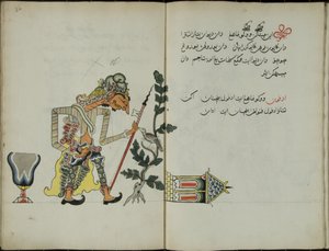 Kurkuma Java, MS 41 s. 32, nyní 16, 1830