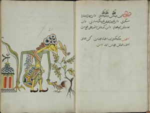 Kurkuma Java, MS 41 s. 42, obrázek 21, 1830 od Malay Malay