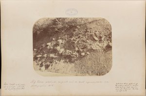 Podrobná studie jižní části úseku zobrazeného na fotografii č. 6 od Marc Ferrez