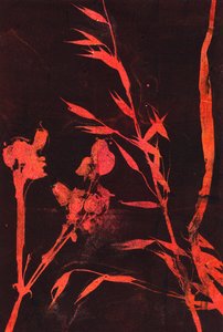 Červené listy, 2024 (monotyp) od Marco Campedelli