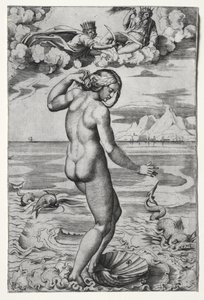 Zrození Venuše , c. 1516. od Marco Dente