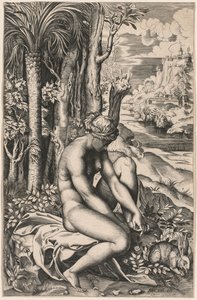 Venuše zraněná trnem růže, c. 1516. od Marco Dente