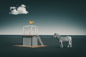 Surrealistická plážová zebra