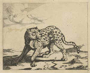 Leopard, stojící vlevo, hlava vpravo Leopardi (název série) od Marcus de Bye