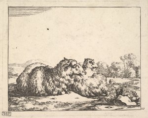 Ovce, ze sady 16 talířů, 1664. od Marcus de Bye
