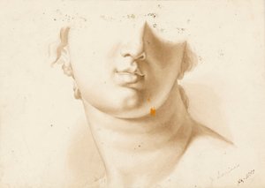 Studie spodní poloviny lidské tváře, pravděpodobně sochy od Margaret Louisa Herschel