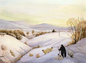 Ovce na hřebeni od Margaret Loxton