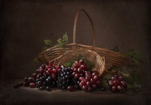 Bohatá úroda hroznů od Margareth Perfoncio