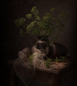 Temné botanické zátiší od Margareth Perfoncio