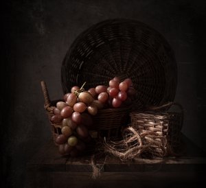 Hrozny odrůdy Dark Harvest od Margareth Perfoncio