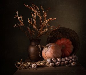 Dýně „Dark Harvest“
