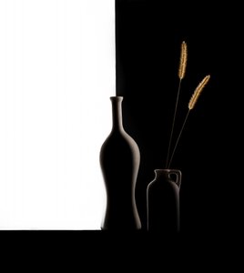 Vázy Dark Light Grass od Margareth Perfoncio