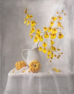 Jemné podzimní zátiší od Margareth Perfoncio