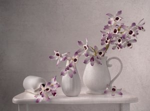 Jemné zátiší s orchidejemi