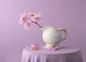 Elegantní levandulové orchideje
