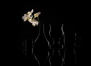 Elegantní siluety orchidejí od Margareth Perfoncio