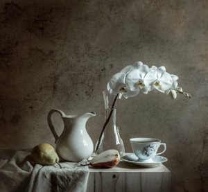 Elegantní zátiší s orchidejemi od Margareth Perfoncio