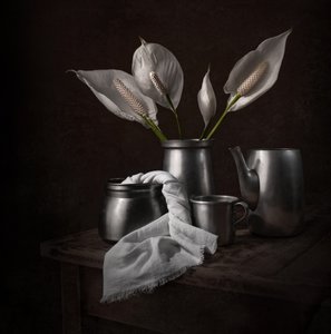 Elegantní pokojové lilie od Margareth Perfoncio