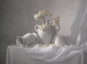 Elegantní bílé zátiší od Margareth Perfoncio