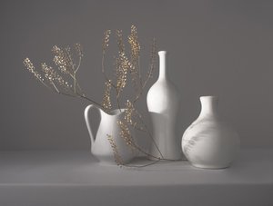 Minimalistické botanické zátiší od Margareth Perfoncio