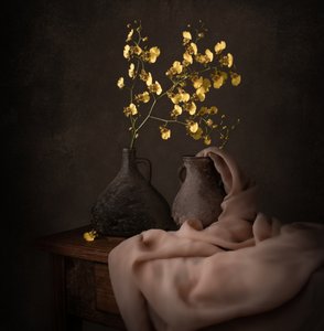 Žluté orchideje v náladových odstínech od Margareth Perfoncio