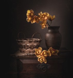 Žluté orchideje s náladovým nádechem od Margareth Perfoncio