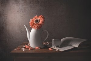 Oranžová sedmikráska – rozbitá konvička od Margareth Perfoncio