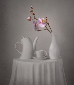 Čajový dýchánek s růžovou orchidejí od Margareth Perfoncio