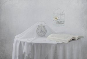 Kniha „Serene Clock“ – ptačí klec od Margareth Perfoncio