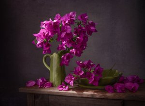 Živé zátiší s bougainvilleou od Margareth Perfoncio