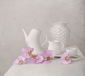 Zátiší s bílou orchidejí od Margareth Perfoncio