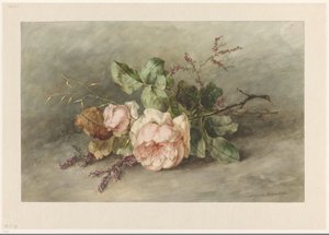 růže od Margaretha Roosenboom
