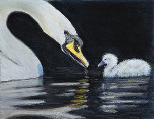Follow Mummy, 2020 (pastel) od Margo Starkey