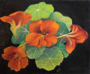 Nasturtiums, 2020 (pastel) od Margo Starkey