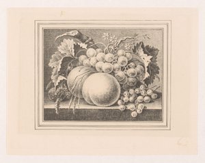 Složení s ovocem v rámu od Maria Geertruida de Goeje Barbiers (attributed to)